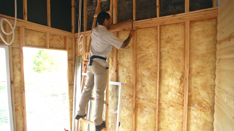 Best Soundproof Insulation  in Franklin, WI